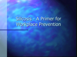 Silicosis - A Primer for Prevention