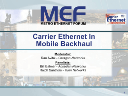 Introduction to the MEF