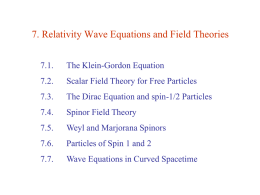 7. Relativity Wave Equations and Field Theories