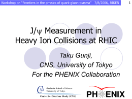 J/y measurement in Heavy Ion Collisions at RHIC