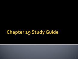 Chapter 19 Study Guide - Our Lady Of The Wayside