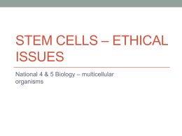 stem cells – ethical issues
