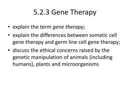 5.2.3 Gene Therapy - Mrs Miller's Blog | Science Revision