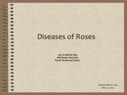 Diseases of Roses