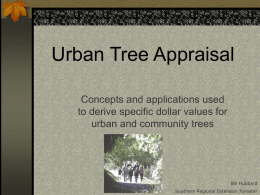 Urban Tree Appraisal