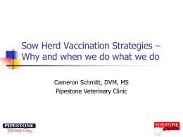 Sow Herd Vaccination Strategies – Why and when we do what
