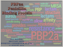 PBP2a Penicillin Binding Protein