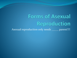 Forms of Asexual Reproduction