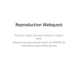Animal Reproduction Webquest