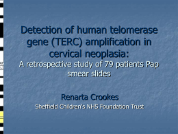 Detection of human telomerase gene (TERC) amplification in