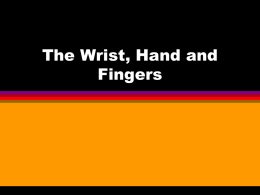 The Wrist, Hand and Fingers
