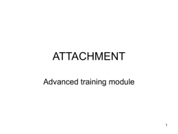 Advanced module: Attachment - Slides/Overhead transparencies