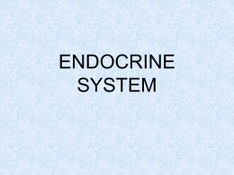 ENDOCRINE SYSTEM - Doctor Jade Main