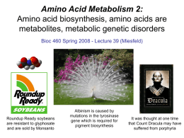 Lecture 33 - University of Arizona