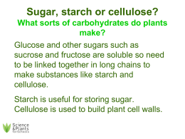 PSG4 - Sugar, starch or cellulose