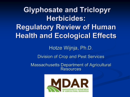Glyphosate and Triclopyr Herbicides