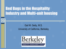 Bed Bugs in the Hospitality Industry