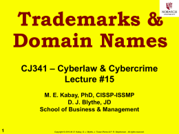 Trademarks & Domain Names