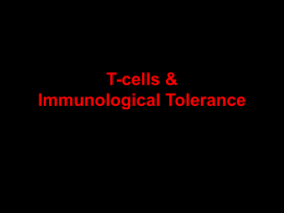 Immunological Tolerance PP - The University of Arizona