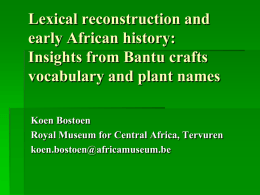 Lexical reconstruction and early African history: Insights