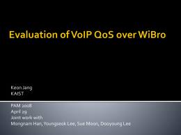Evaluation of VoIP QoS over WiBro