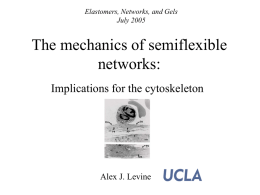 On the deformation of semiflexible networks: