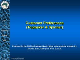 Customer Preferences (Topmaker & Spinner)