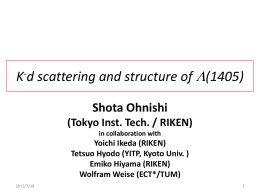 Shota Ohnishi (Tokyo Inst. Tech. / RIKEN)