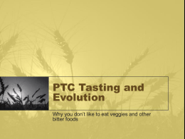 PTC Tasting and Evolution