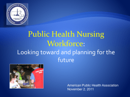 Massachusetts Public Health Nursing Survey 2010