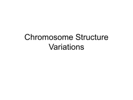 Chromosome Structure Variations