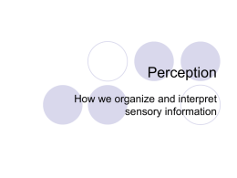 Perception - Raleigh Charter High School