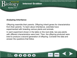 Prentice Hall Biology