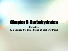 Chapter 5 Carbohydrates