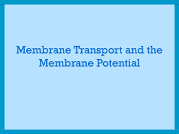 Membrane Transport and the Membrane Potential