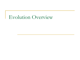 Evolution 2 - Groch Biology