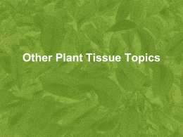 Other Tissue Culture Topics