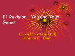 B1 Revision – You and Your Genes - Home