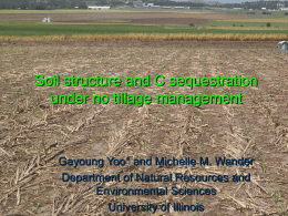 Influence of tillage on SOC dynamics : C sequestration