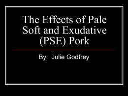 The Effects of PSE in Pork - Tarleton State University