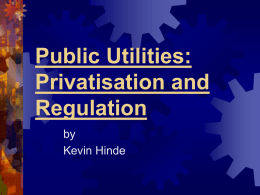 Public Utilities: Privatisation and Regulation