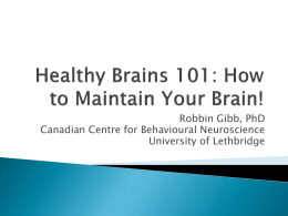 Healthy Brains 101: How to Maintain Your Brain!