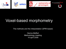 Voxel-based morphometry