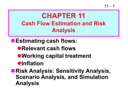 CF Estimation and Risk Anaysis, PowerPoint Show