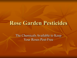 Rose Garden Pesticides