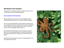 Northwest Tree Octopus - Gosfield Primary School