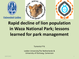 Rapid decline of lion population in Waza National Park