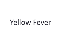 Yellow Fever - Mr. Farshtey