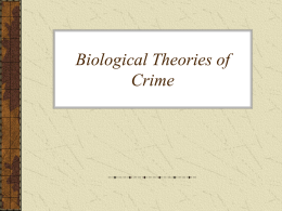 Biological Theories of Crime - Washington State University