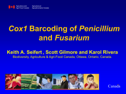 CO1 Barcoding of Penicillium, Aspergillus, Fusarium and